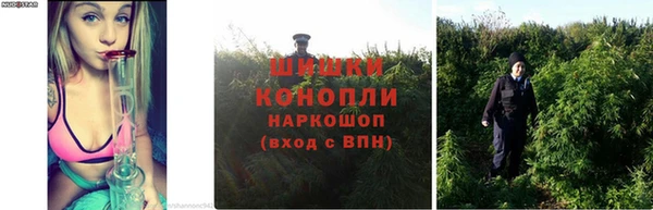 стаф Богородицк